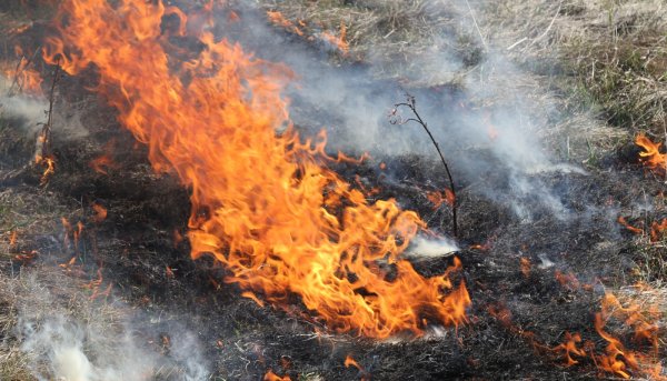 Пожар травы