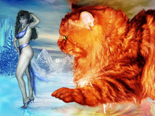 Огонь и лед