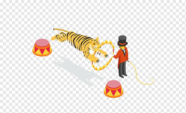 Цирковые тигры