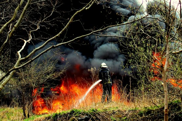 Пожарник и костер