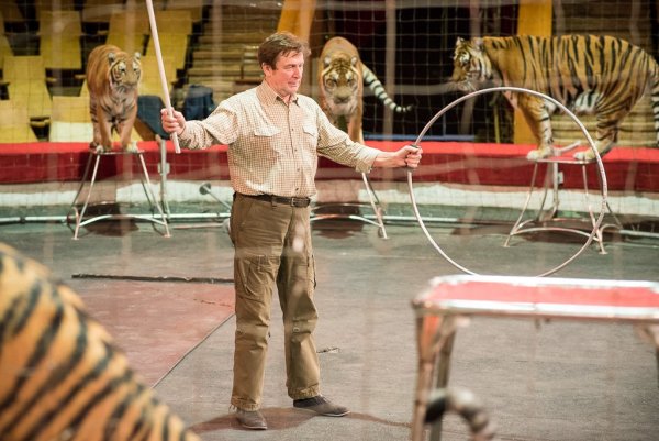 Дрессировщик Жуков фильм 2008