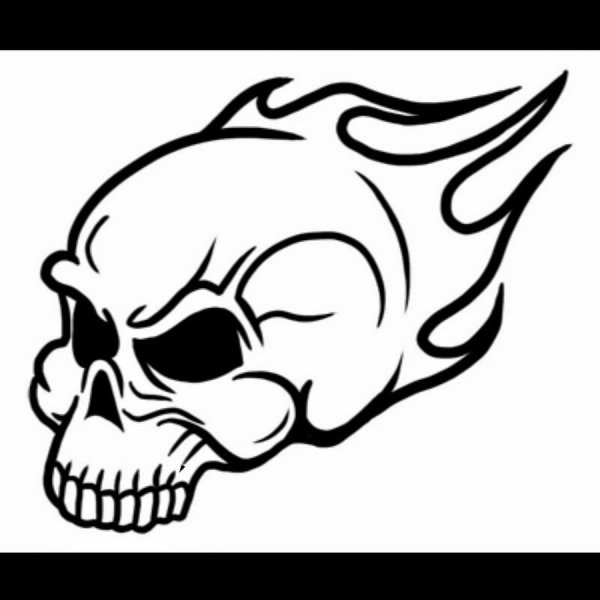 Череп легкий