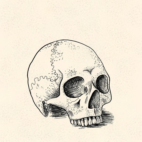 Картинки для срисовки черепа