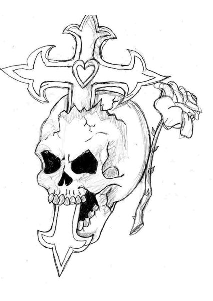 Череп рисунок карандашом