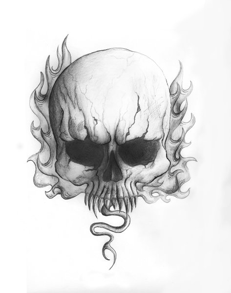 Череп рисунок карандашом