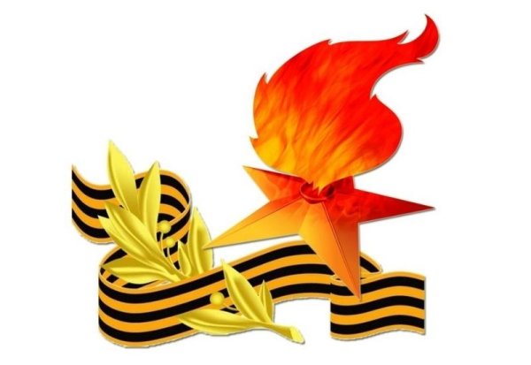 Гвоздики с георгиевской лентой