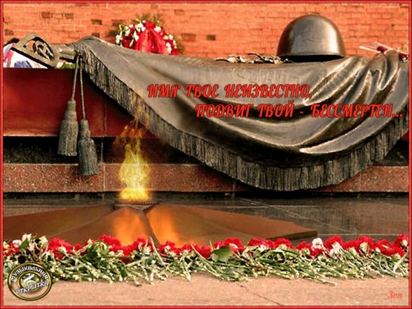 Могила неизвестного солдата Москва гифка