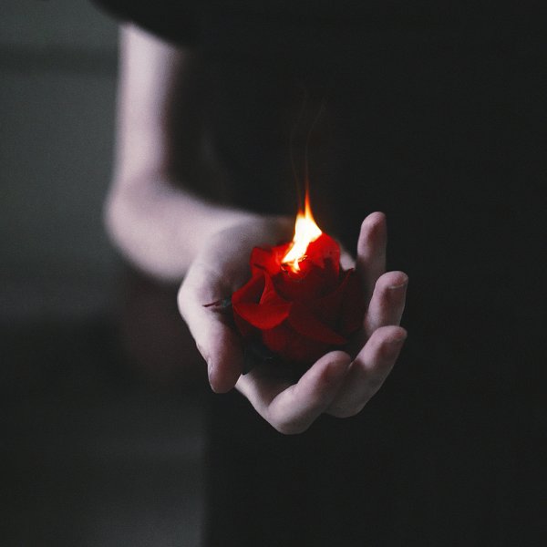 Горящая роза в руках