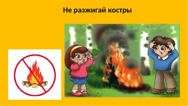 Не разводить костер в лесу