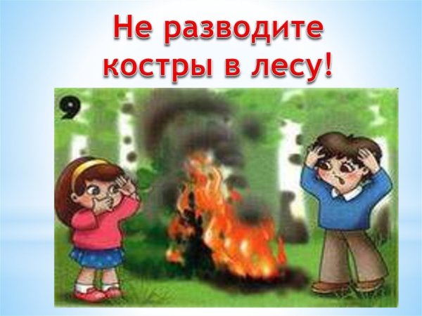 Нельзя разжигать костёр в лесу