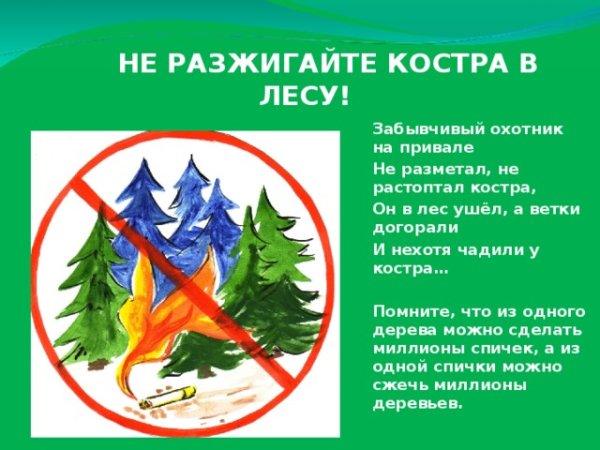 Нельзя разжигать огонь в лесу