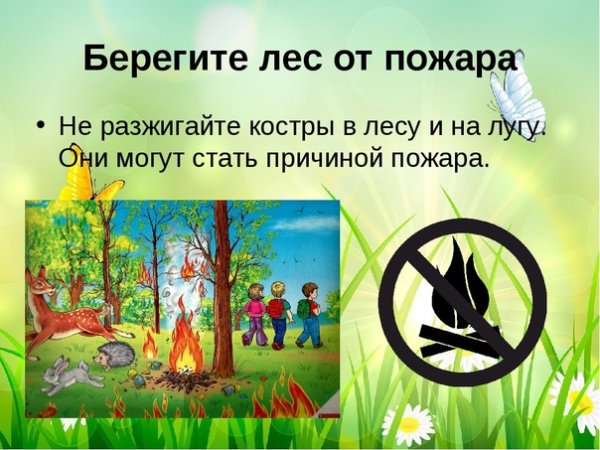 Не разжигайте костер в лесу