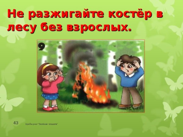 В лесу не разжигайте костер без взрослых