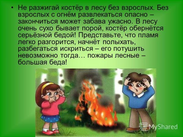 Опасности в лесу костер для детей