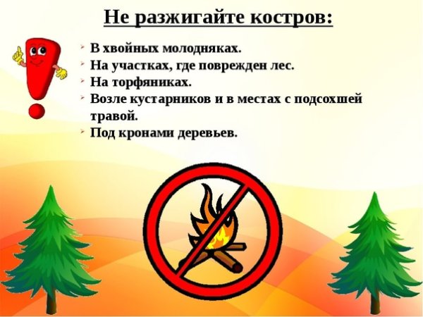 Правила пожарной безопасности в лесу
