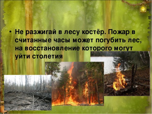 Нельзя разжигать костёр в лесу