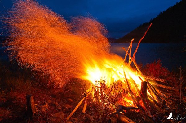 Пионер огонь