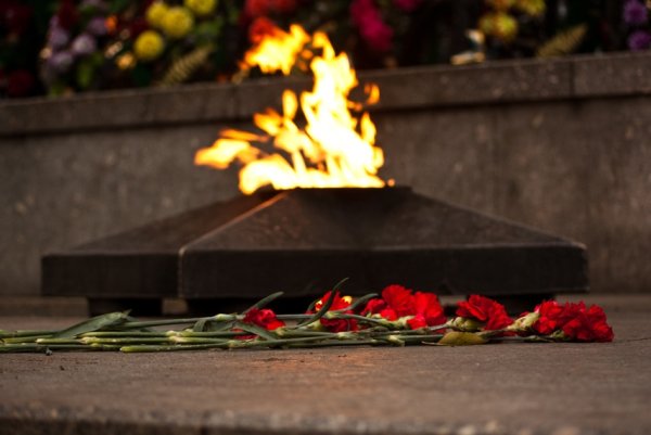 Гвоздики у вечного огня