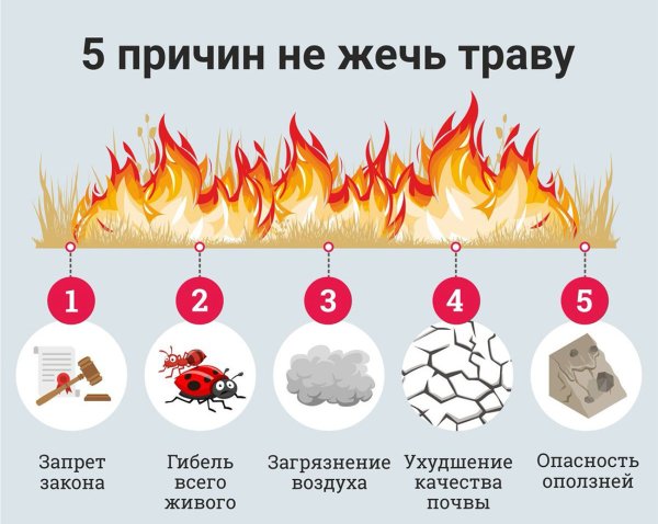 Памятка сжигание сухой травы