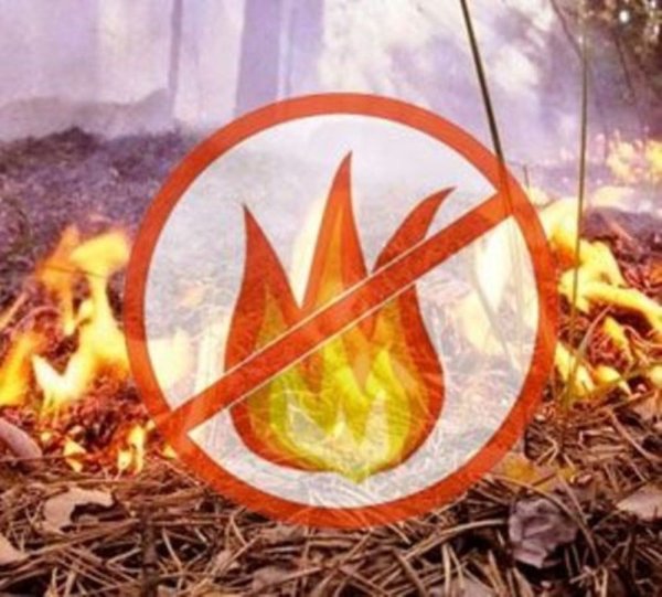 Внимание противопожарный режим