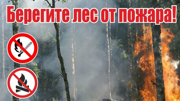 Опасность пожара в лесу