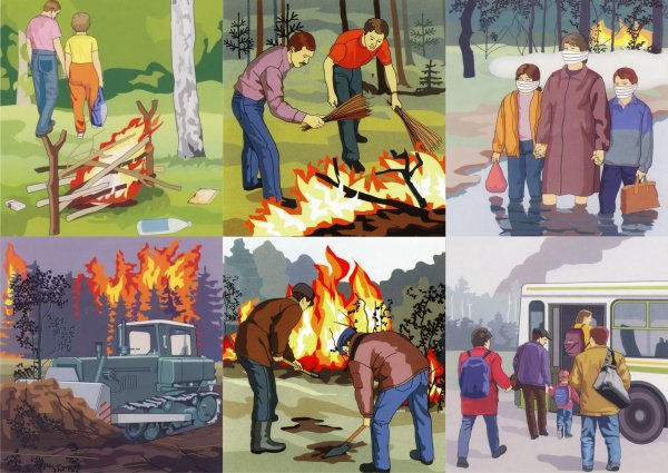 Опасные ситуации в лесу