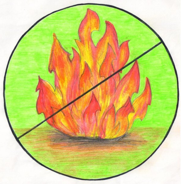 Нельзя разжигать огонь в лесу