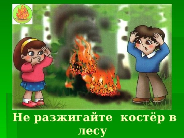 В лесу не разжигайте костер без взрослых