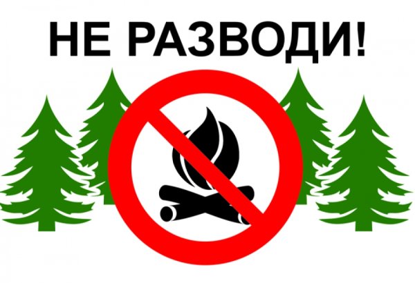 Знаки пожарной безопасности в лесу