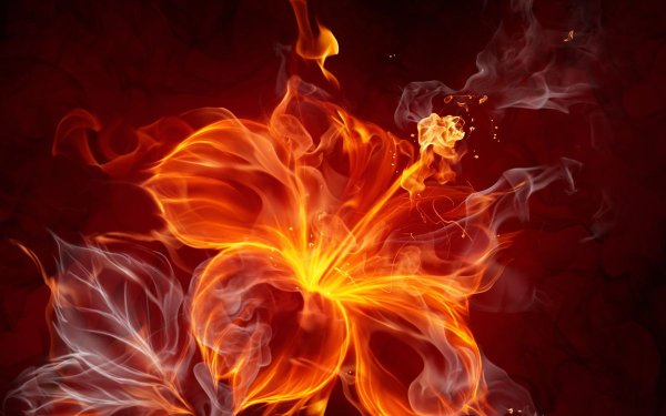 Fire Flower