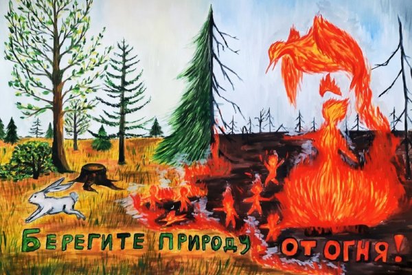 Тайга без огня