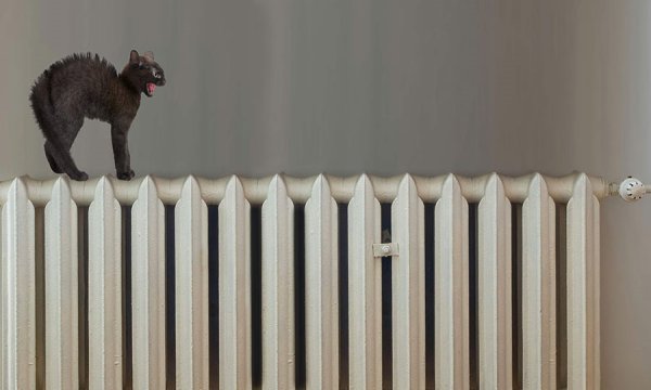 Теплые батареи