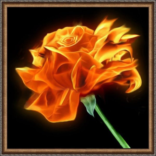 Огненная Розочка