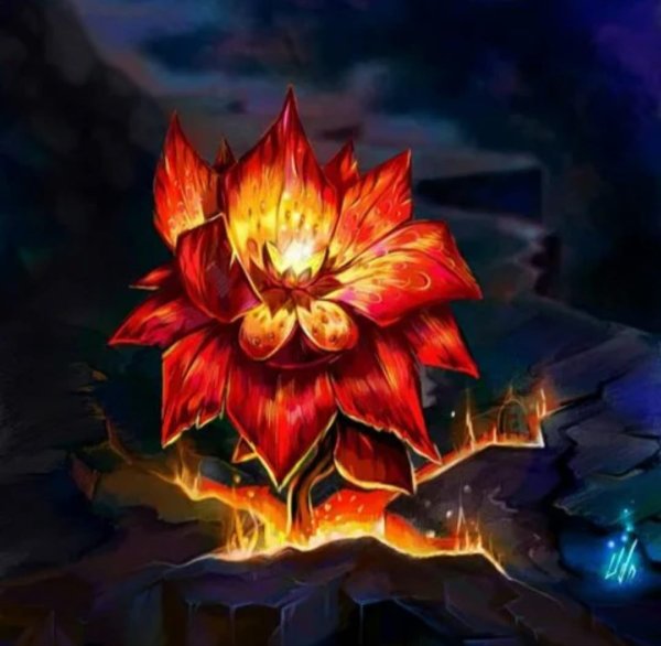 Пылающий цветок Геншин