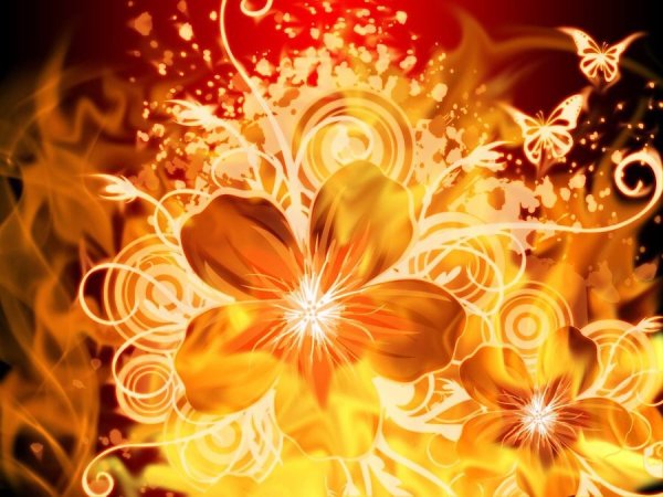 Огненный цветок