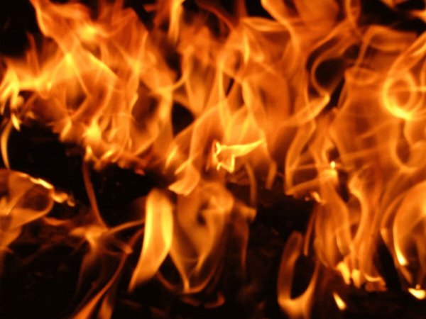 Живой огонь