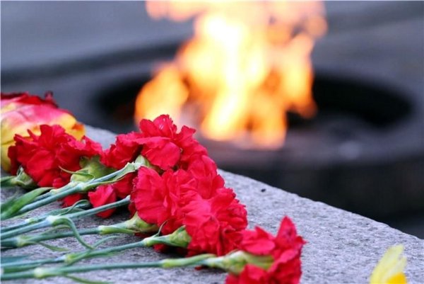 Гвоздики у вечного огня
