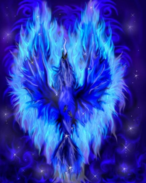 Синяя птица Феникс