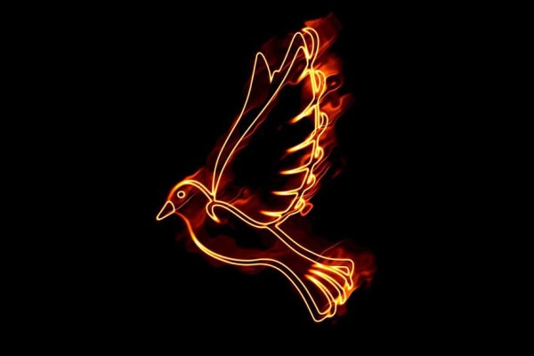 Огненный голубь