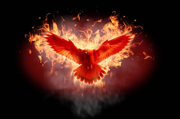 Орел в огне