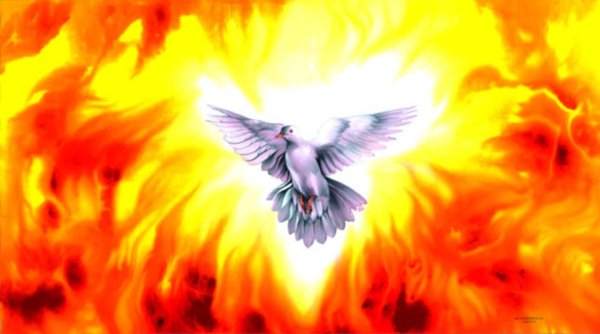 Огненный голубь