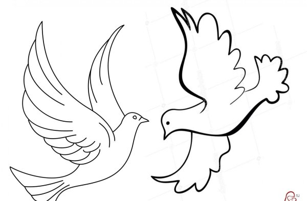 Голуби на окна к 9 мая