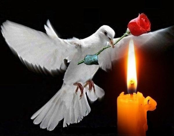 Свеча и голубь