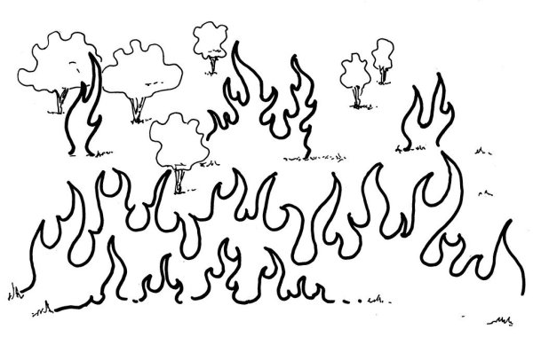 Лесной пожар раскраска