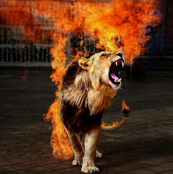 Смешное пламя