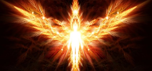 Огненные Крылья