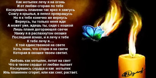 Мотылек стихотворение