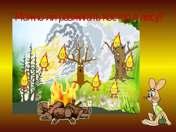 Пожар в лесу для дошкольников