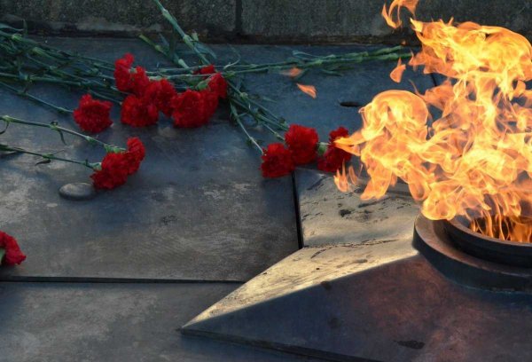 Вечный огонь с гвоздиками