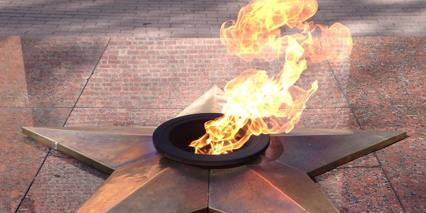 Проект вечный огонь